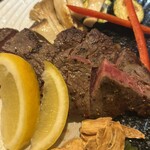 たぬき ラクーンドッグ - 