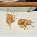 天ぷら 元吉 - 巻海老 頭
      カラリとした揚げあがり、頭の部分にもほんのりと甘みを感じます♪