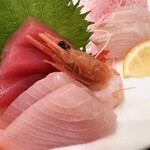 はまなす海洋館 - 