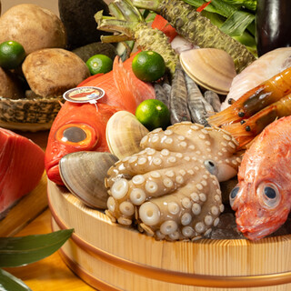 全国から仕入れた新鮮な天然魚から季節料理まで豊富にご用意