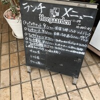 Magnolia - 