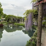 らーめん 大雅 - 