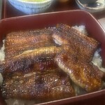 地焼うなぎ ひらさわ - 