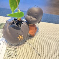 一茶一酒 - 