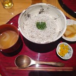 土佐しらす食堂 二万匹 - 