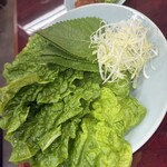 Hourai Kenkaru Karuizawa Ten - サンチュ