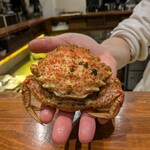 CULACCINO - トゲクリガニ　これを茶碗蒸し風にしてくれた