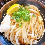 手打十段 うどんバカ一代 - 