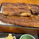 炭火焼うなぎ 東山物産 - 極上重 中盛り