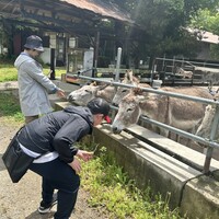 杉・五兵衛 - 