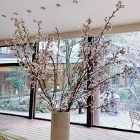 エルムガーデン - 