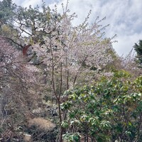 エルムガーデン - 