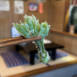 郷土料理ともん - 【【オプション】】　コシアブラの天ぷら　　1番好きな大きさ　byまみこまみこ