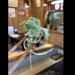 郷土料理ともん - 【【コース】】ヤマブキショウマ　　綺麗にぐるぐる巻きに結いてあります　　byまみこまみこ