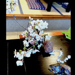 郷土料理ともん - 山からの桜が咲いてます〜　お花見ですねっ〜春をいただきます　byまみこまみこ