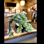 郷土料理ともん - 【【オプション】】　コシアブラの天ぷら　　byまみこまみこ