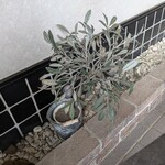 中華菜館しま - 店内