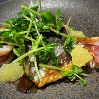 タケル クインディチ(LOQUAT) 西伊豆 - 