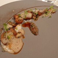 ジョンティ アッシュ - 