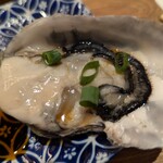 本格板前居酒屋 お魚総本家 - 