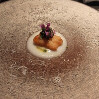 TOSAGE - 