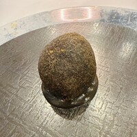 メゾン フジヤ ハコダテ - 