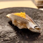 鮨 なんば - 小肌 36℃/19℃