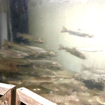 郷土料理ともん - 綺麗なお水〜　　　　　byまみこまみこ