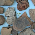 Brilliant Heart Museum - 