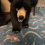 熊の湯ホテル - 