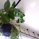 カザーナ コーヒー - 