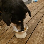 THE GLAMPING 箱根十国峠 - 