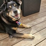 THE GLAMPING 箱根十国峠 - 