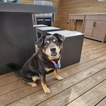 THE GLAMPING 箱根十国峠 - 