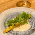 蘖 - 岐阜　ホワイトアスパラ　西貝