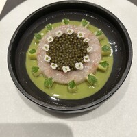 CIRPAS - 