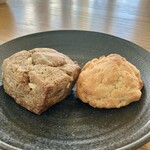 アンズトモモ - 