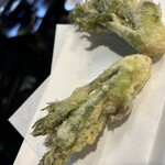 呑み処 ねこ八 - 