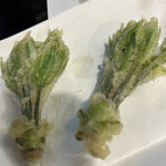 呑み処 ねこ八 - 