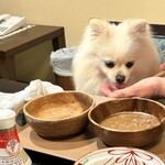 丸山温泉 古城館 - 