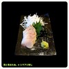 酒と肴おたぬ。