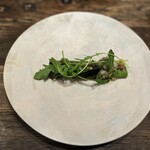 aru - 北河さんのグリーンアスパラガス