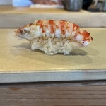 鮨中村 - 車海老