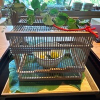 御料理ふじ居 - 