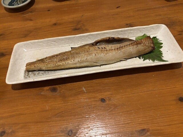 呑み処 だるまさん - 能代（居酒屋）の写真