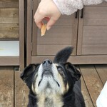 THE GLAMPING 箱根十国峠 - 