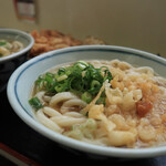 まごころ - かけうどん(小)