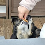 THE GLAMPING 箱根十国峠 - 