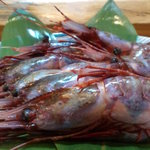 匠 - ぶどう海老・・・。まぼろしなのに・・・(苦笑）