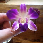 匠 - 食えるんです・・。